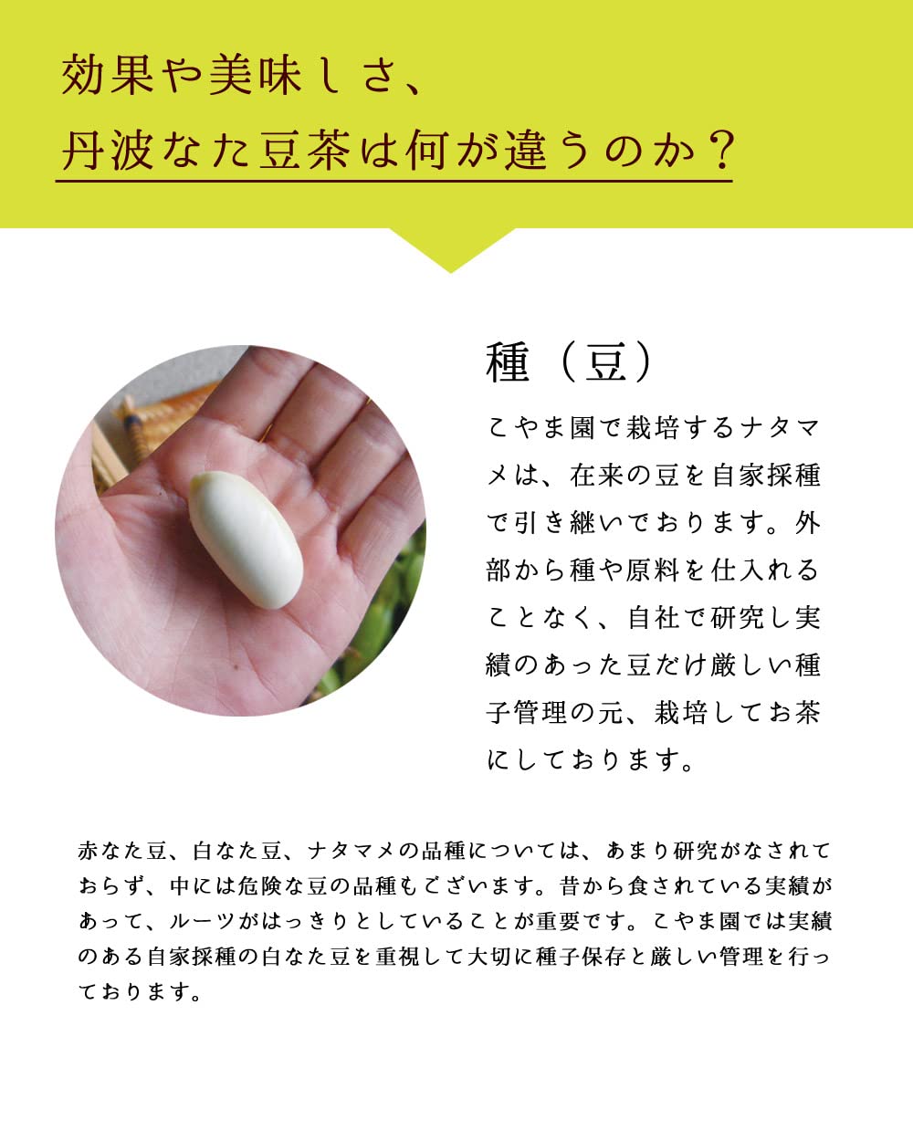 Jack Bean Tea こやま園 丹波なた豆茶 3g×30個入 国産